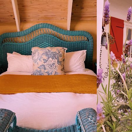 Hocus Pocus Cottage باتيرنوستير المظهر الخارجي الصورة