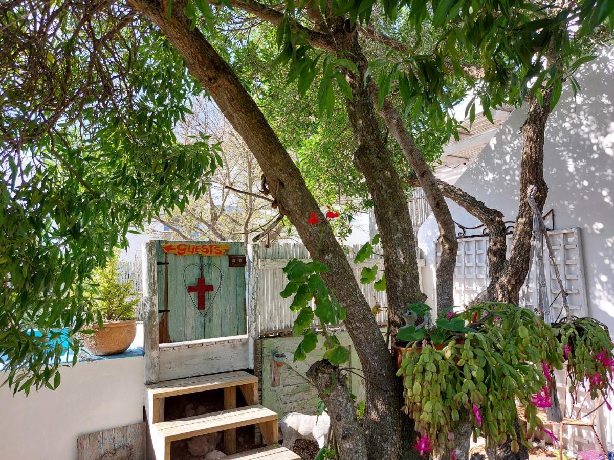 Hocus Pocus Cottage باتيرنوستير المظهر الخارجي الصورة