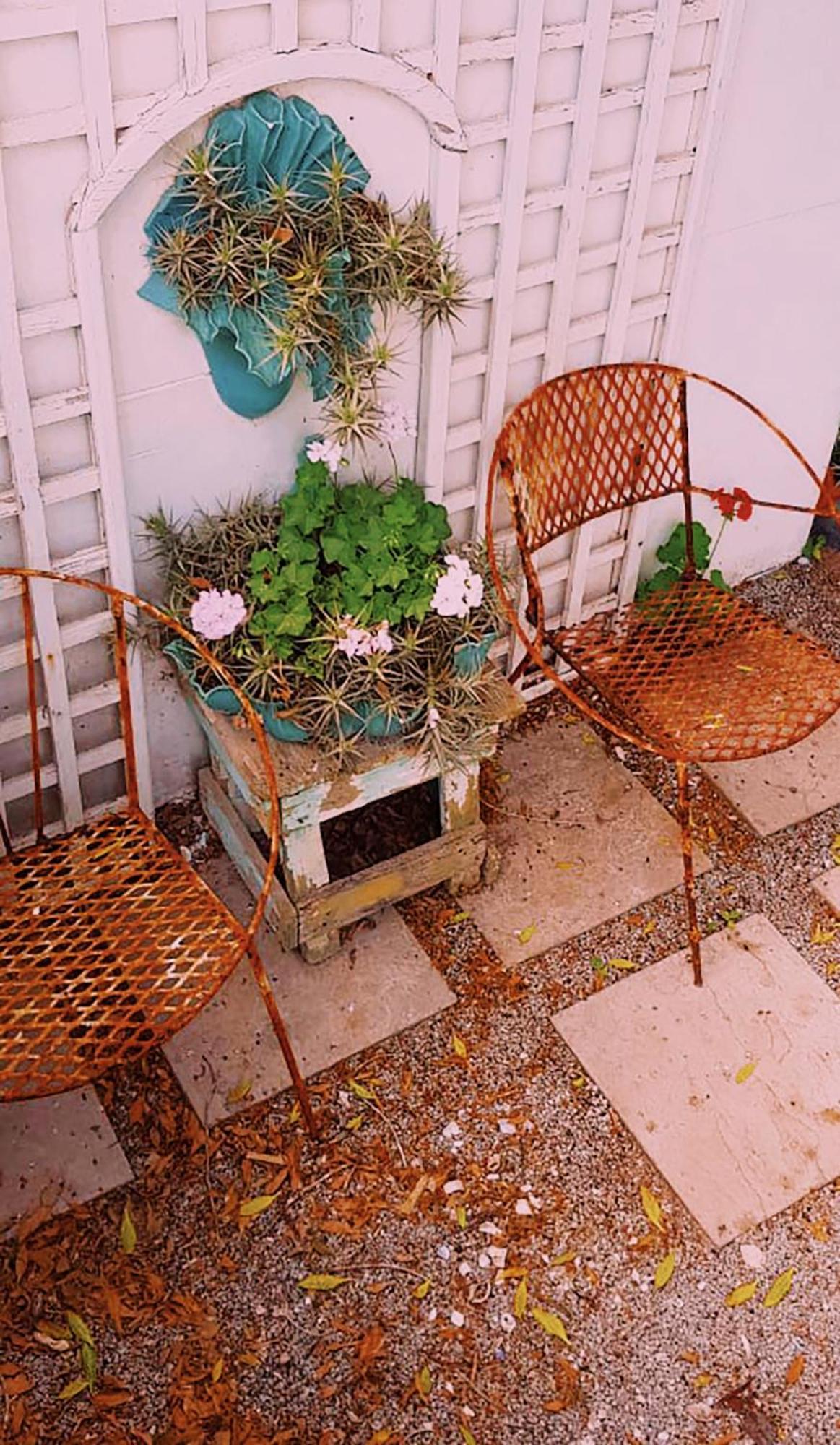 Hocus Pocus Cottage باتيرنوستير المظهر الخارجي الصورة