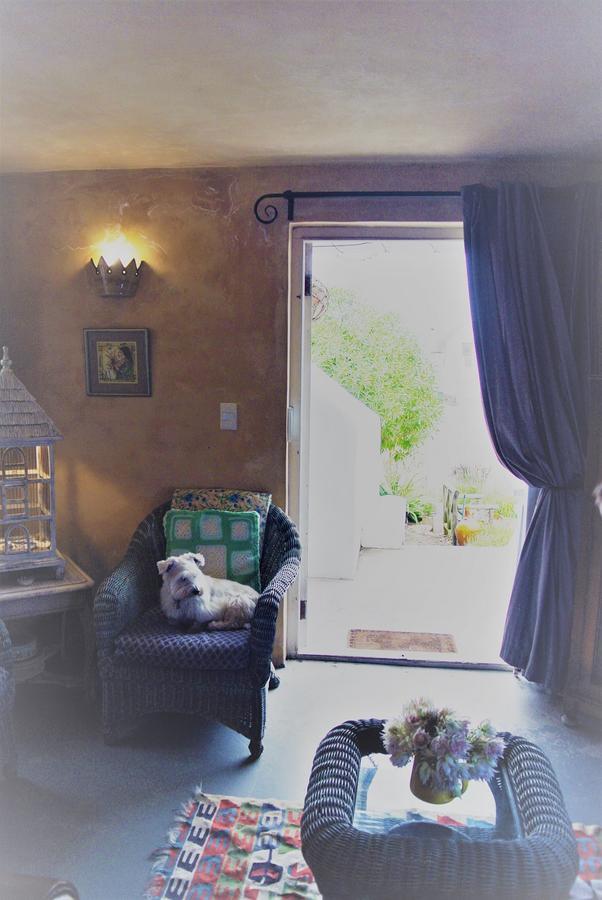 Hocus Pocus Cottage باتيرنوستير المظهر الخارجي الصورة